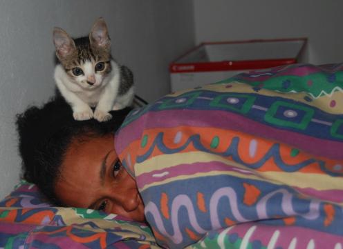 sobrellevando la gripe