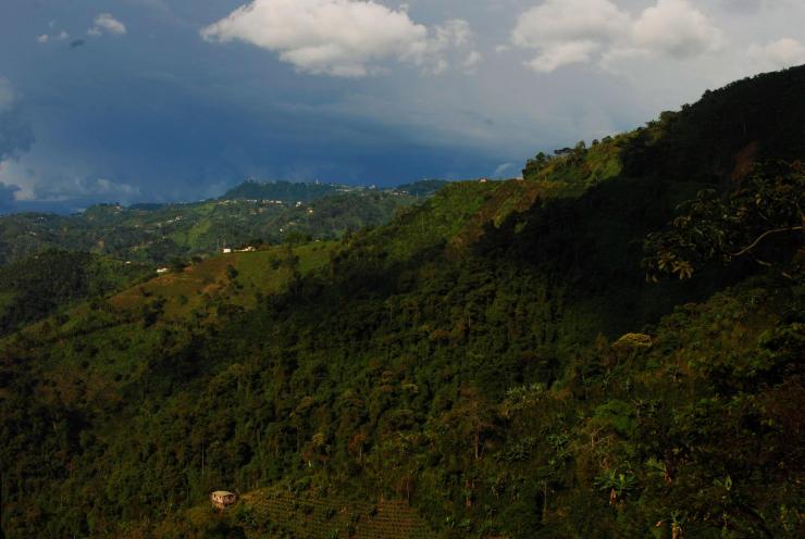 Subiendo hacia Manizales