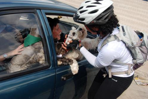 y no faltaron nuestras mascotas y no faltaron nuestras mascotas