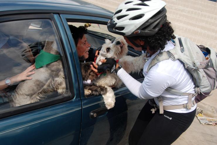 y no faltaron nuestras mascotas