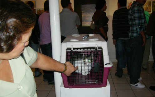 ...y como iva a fatar Pedalinho