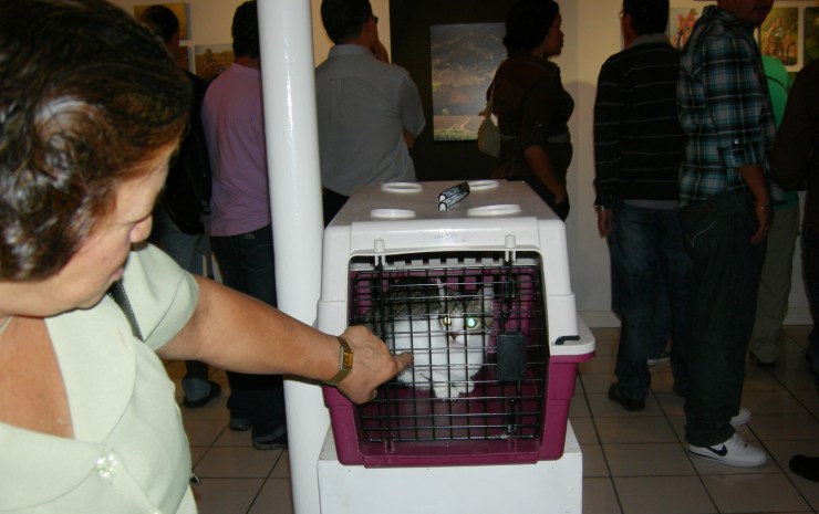 ...y como iva a fatar Pedalinho